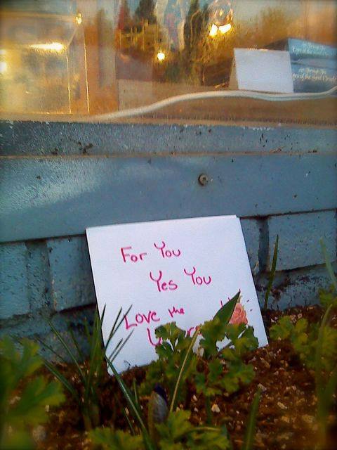 Global Love Letters: A Guest Post by Sam Livermore