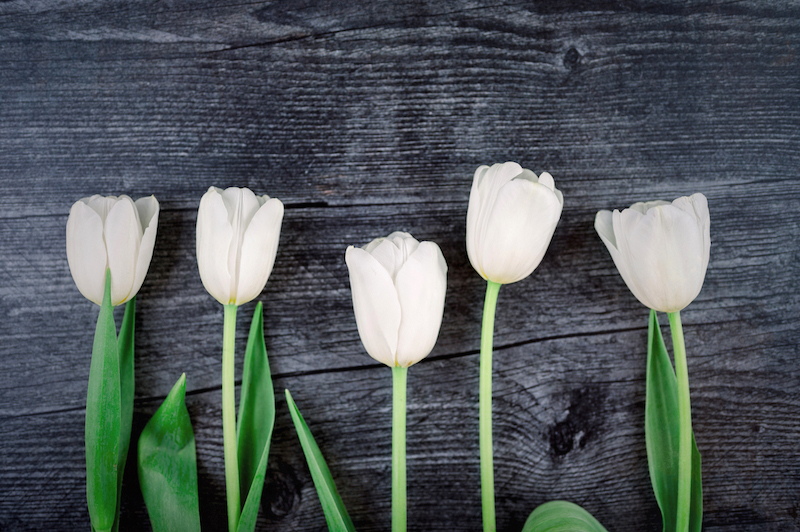 5 lessons learned from 9 years of soulsmart living